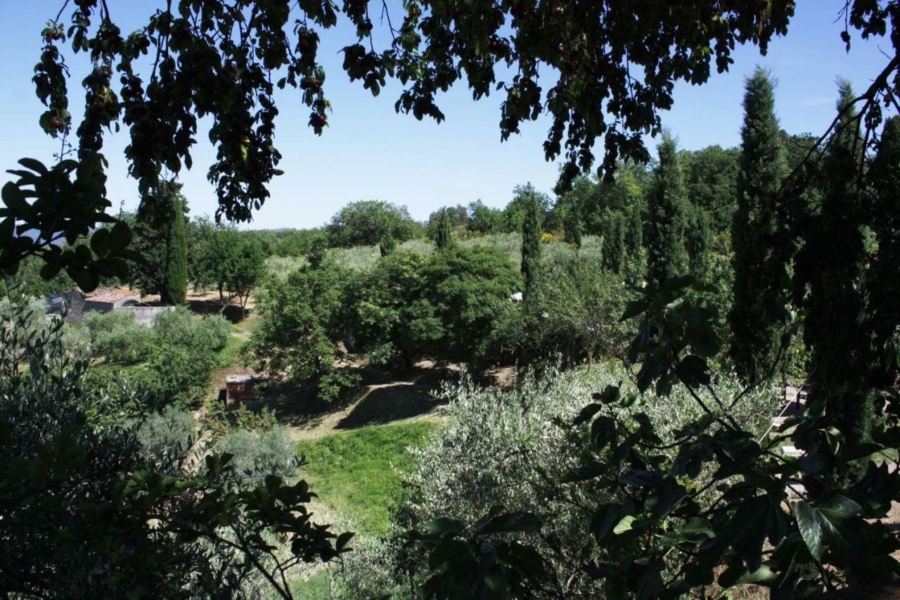 Agriturismo L' Agresto Villa Casole d'Elsa Exterior photo